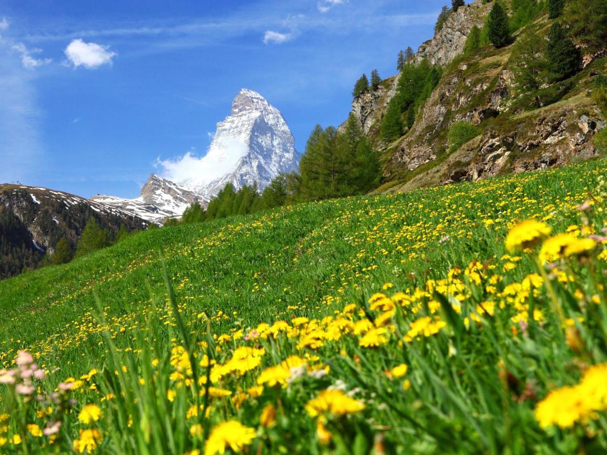 Holiday Home Gaedi By Interhome Zermatt Eksteriør billede