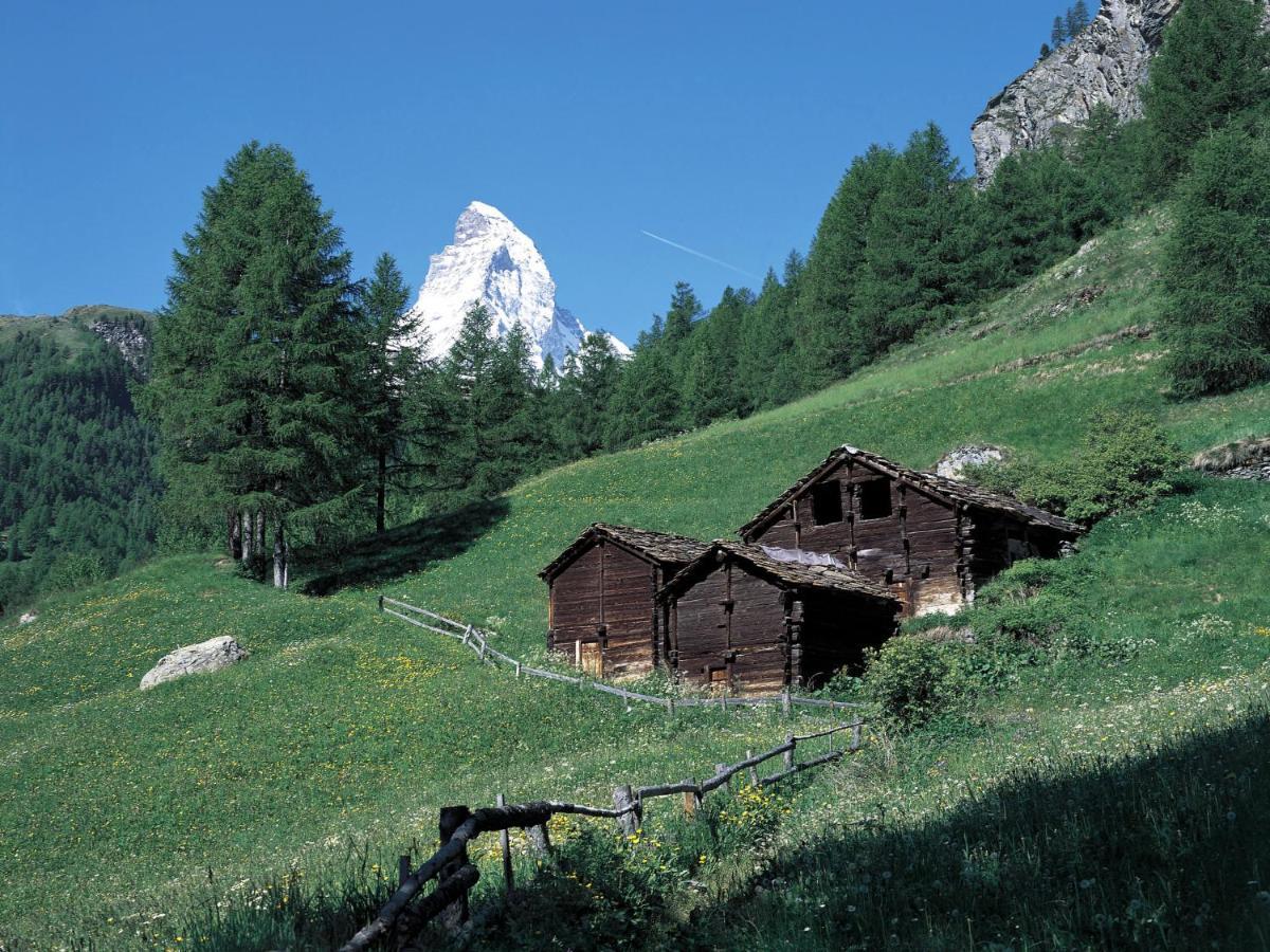 Holiday Home Gaedi By Interhome Zermatt Eksteriør billede